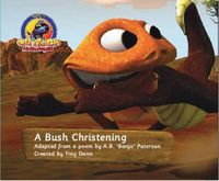 Cover image for A Bush Christening