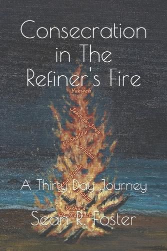 Cover image for Consecration in The Refiner's Fire: A Thirty Day Journey