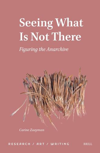 Cover image for Seeing What Is Not There