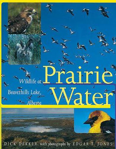 Cover image for Prairie Water: Wildlife at Beaverhills Lake, Alberta