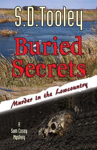 Cover image for Buried Secrets