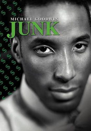 Cover image for Junk