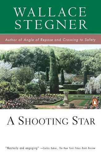 Cover image for A Shooting Star