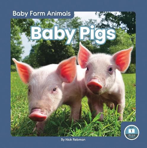 Cover image for Baby Pigs