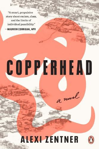 Cover image for Copperhead: A Novel