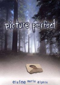 Cover image for Picture Perfect