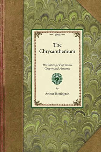 Cover image for Chrysanthemum: Its Culture for Professional Growers and Amateurs: A Practical Treatise on Its Propagation, Cultivation, Training, Raising for Exhibition and Market, Hybridization, Origin and History