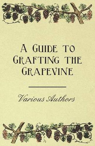 A Guide to Grafting the Grapevine