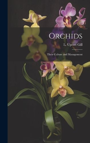 Cover image for Orchids