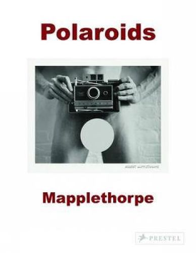 Cover image for Robert Mapplethorpe: Polaroids