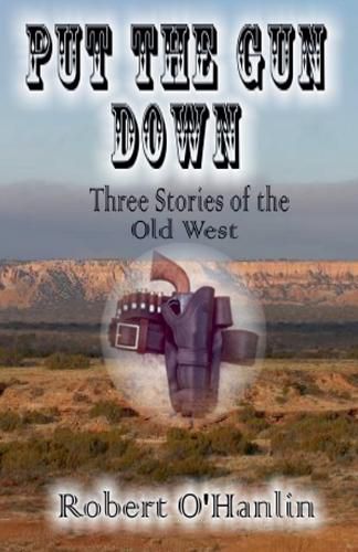 Cover image for Put the Gun Down
