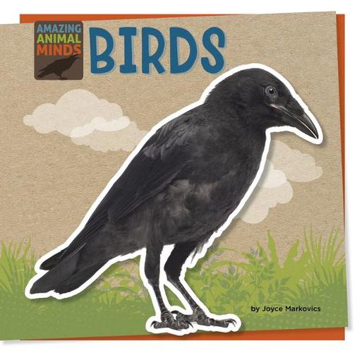 Cover image for Birds