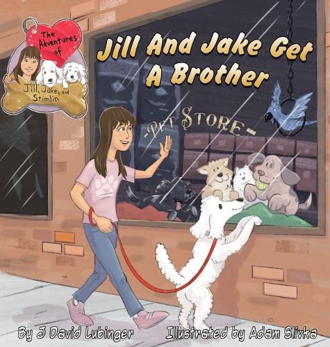 Cover image for The Adventures of Jill, Jake, and Stimlin