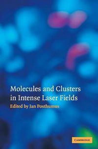 Cover image for Molecules and Clusters in Intense Laser Fields