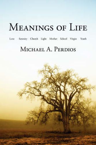 Cover image for Meanings of Life