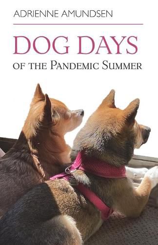 Cover image for Dog Days of the Pandemic Summer