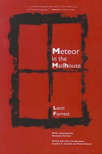 Cover image for Meteor In The Madhouse