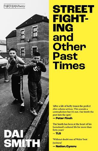 Cover image for Street Fighting and Other Past Times