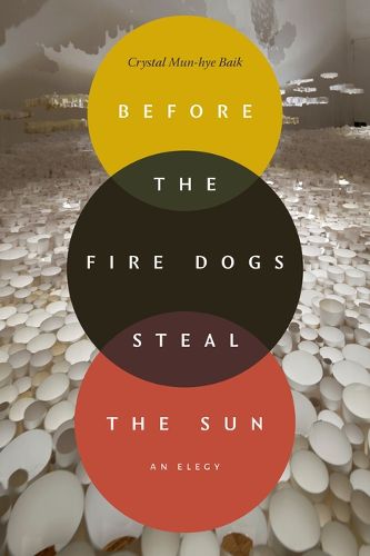 Cover image for Before the Fire Dogs Steal the Sun