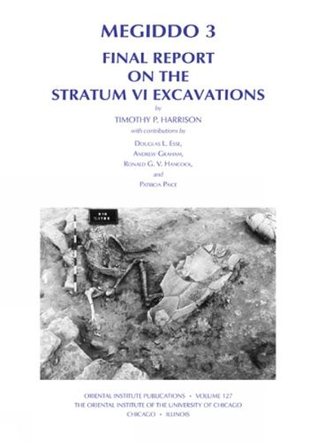 Cover image for Megiddo 3: Final Report on the Stratum VI Excavations