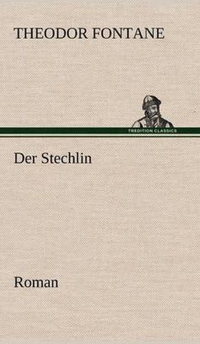 Cover image for Der Stechlin