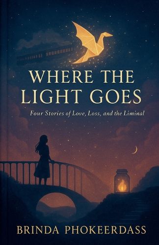 Cover image for Where the Light Goes