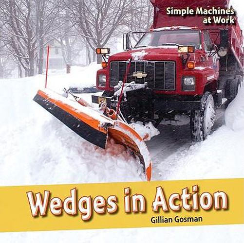 Cover image for Wedges in Action