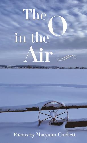 Cover image for The O in the Air