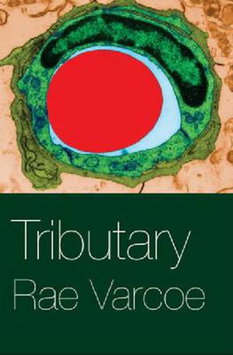 Cover image for Tributary