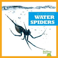 Cover image for Water Spiders