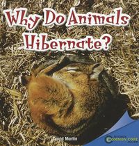 Cover image for Why Do Animals Hibernate?