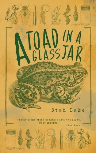 Cover image for Toad in a Glass Jar