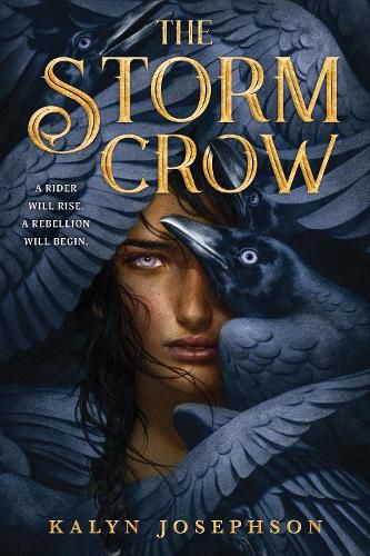 Cover image for The Storm Crow