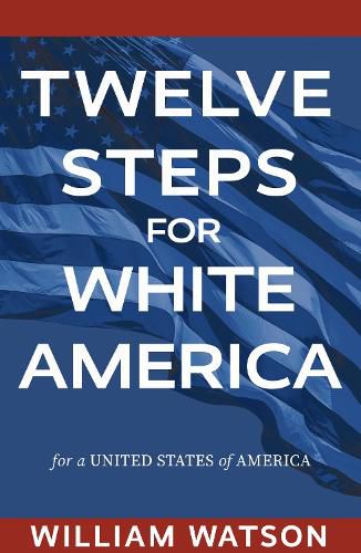 Cover image for Twelve Steps for White America