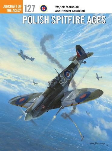 Cover image for Polish Spitfire Aces