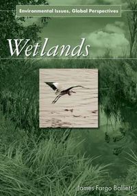 Cover image for Wetlands: Environmental Issues, Global Perspectives