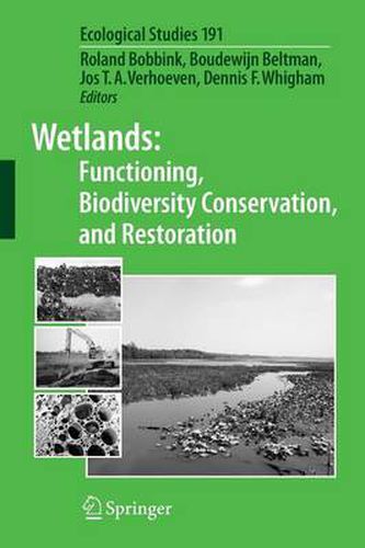 Cover image for Wetlands: Functioning, Biodiversity Conservation, and Restoration