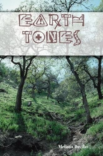 Cover image for Earth Tones