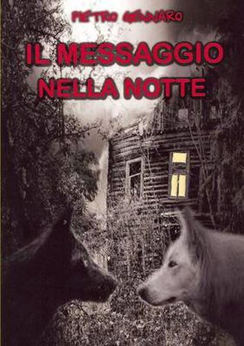 Cover image for Il Messaggio Nella Notte