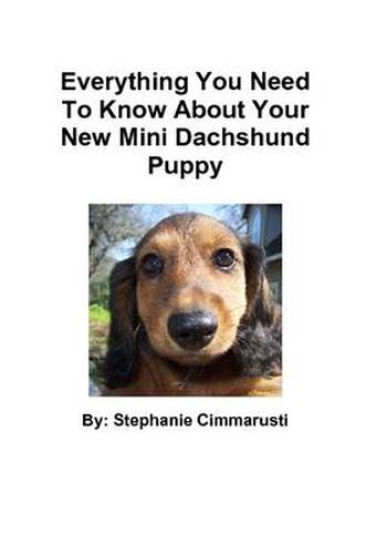 Cover image for Everything You Need To Know About Your New Mini Dachshund Puppy