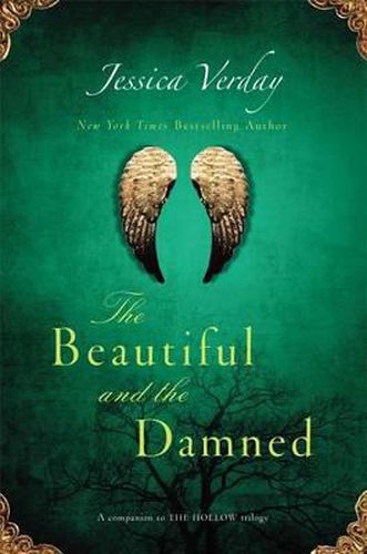 Cover image for The Beautiful and the Damned