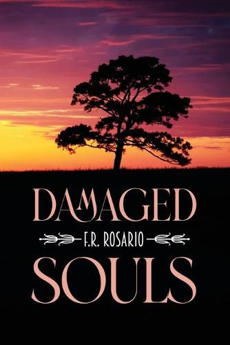 Cover image for Damaged Souls