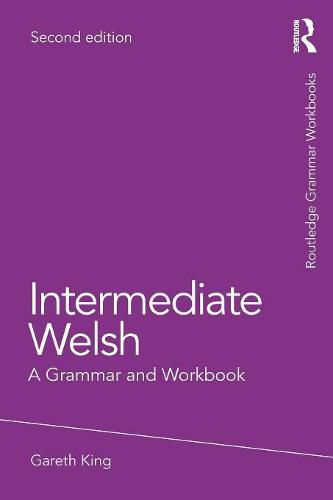 Cover image for Intermediate Welsh: A Grammar and Workbook