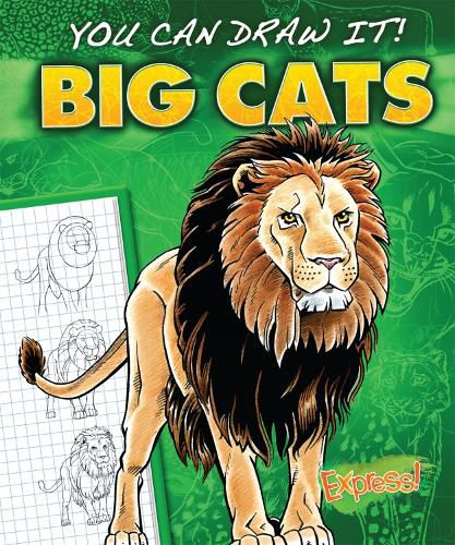 Cover image for Big Cats