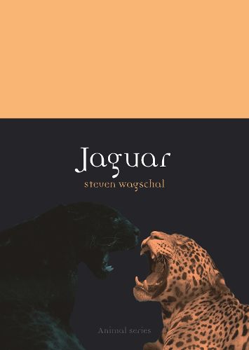 Cover image for Jaguar