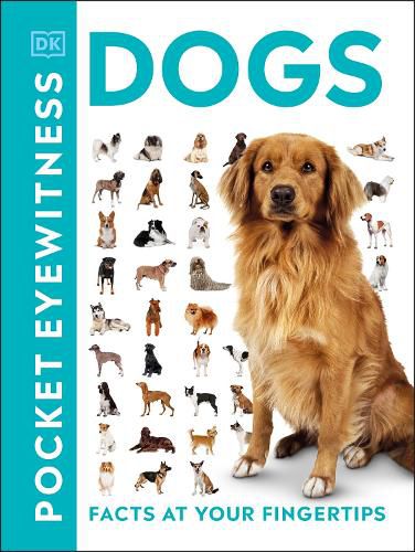 Cover image for Pocket Eyewitness Dogs: Facts at Your Fingertips