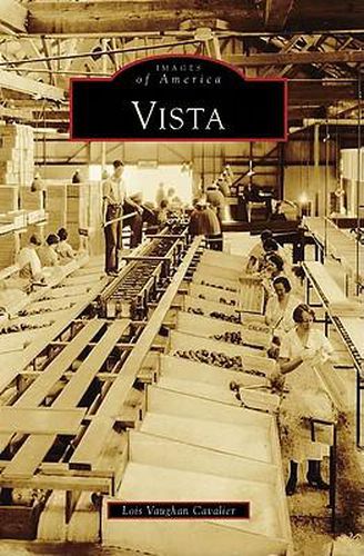 Cover image for Vista