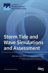 Cover image for Storm Tide and Wave Simulations and Assessment