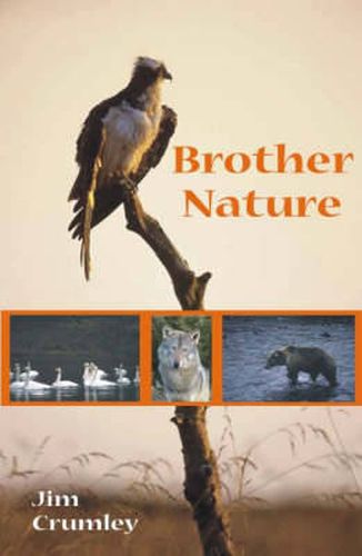 Cover image for Brother Nature
