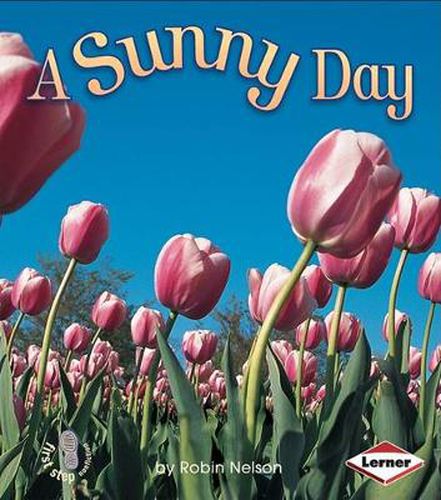 Cover image for A Sunny Day